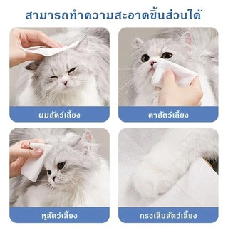 (1 แพ็ค/120 แผ่น)🐶🐱ทิชชู่เปียกสัตว์เลี้ยง ผ้าเปียกแมว ผ้าเปียกหมา ทำความสะอาด ไม่มีแอลกอฮอล์ เช็ดตา/หู/ตัว