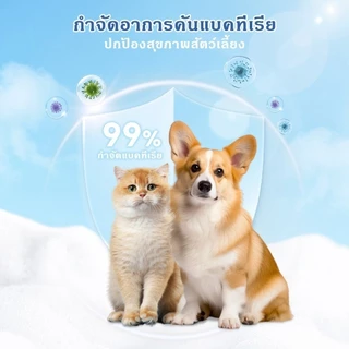 (1 แพ็ค/120 แผ่น)🐶🐱ทิชชู่เปียกสัตว์เลี้ยง ผ้าเปียกแมว ผ้าเปียกหมา ทำความสะอาด ไม่มีแอลกอฮอล์ เช็ดตา/หู/ตัว