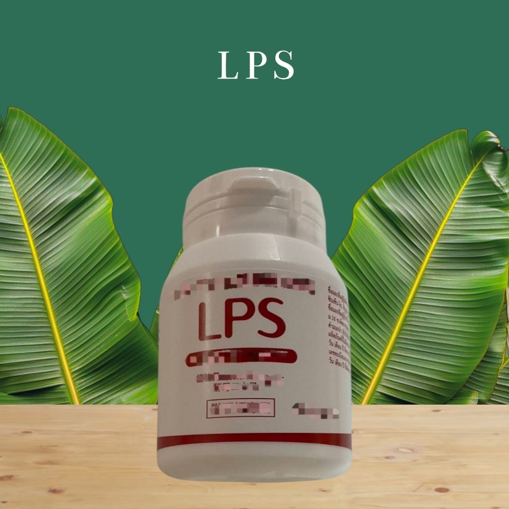🦮 "LPS." (60 เม็ด) 🐈