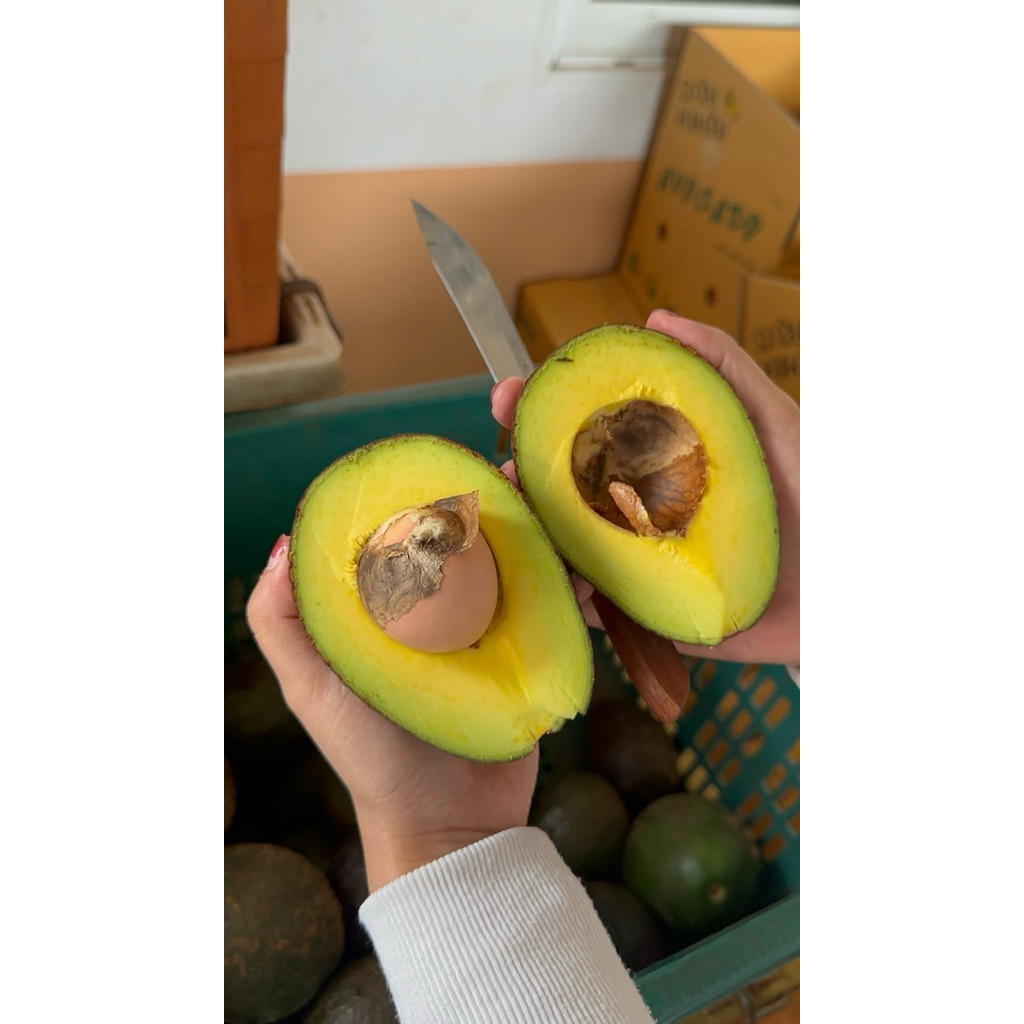 อาโวคาโด้พื้นเมือง น้ำหนัก  3  กิโลกรัม อร่อยเนื้อดี🥑🥑 ชั่งน้ำหนักไม่รวมกล่อง