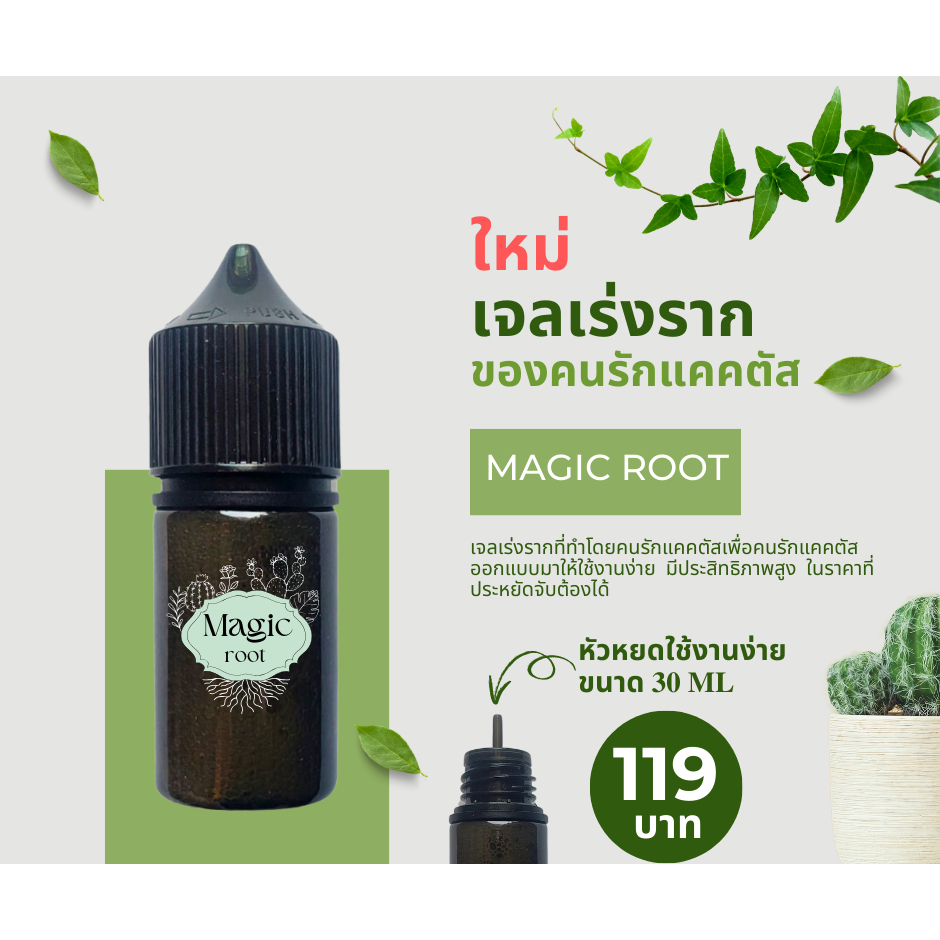 เจลเร่งราก Magic ROOT  ขนาด 30 ml สำหรับคนรักต้นไม้  คนรักแคคตัส รากเยอะ รากแข็งแรง  เร่งรากดีที่สุด