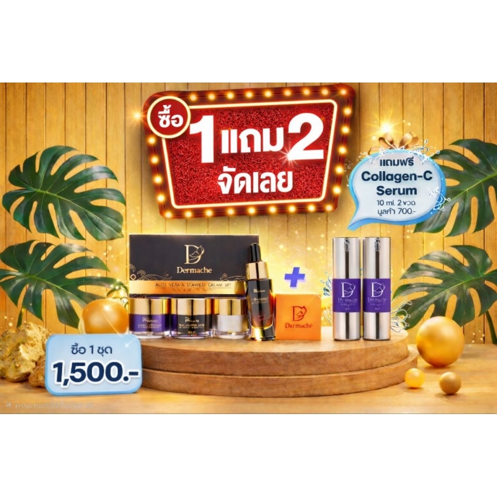 เดอร์มาเช่ กล่องดำ เลือกของแถมได้