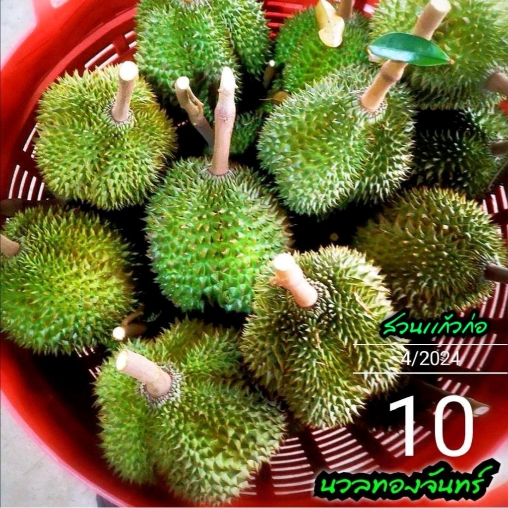 Thumbnail 9