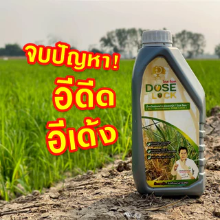 (ร้านค้าบริษัท) โดสล็อค น้ำหมักบล็อคข้าวดีด หยุดการเติบโตของเมล็ดข้าวดีด หมักฟางข้าว ลดแก๊สไข่เน่า