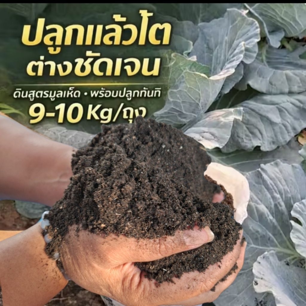 [ส่งด่วน/แถมฟรี] ดินปลูกต้นไม้ ดินโตดี ดินหหมักมูลเห็ดอินทรีย์ไม้ดอกผล ผักสวนครัวไม้น้ำ #ดินอินทรีย์