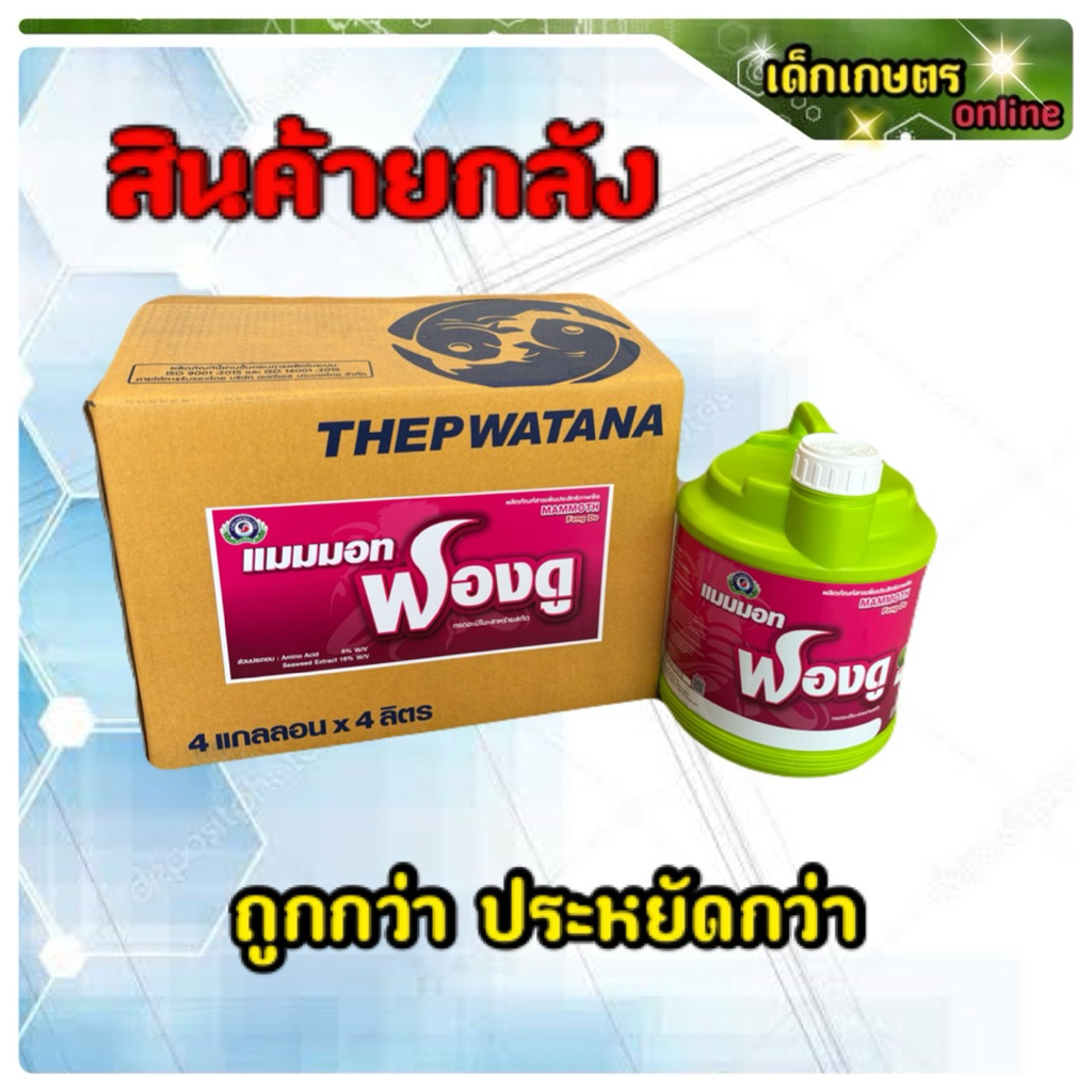 ฟองดู กาลอน เทพวัฒนา ยกลัง ***1 กาลอน 4 ลิตร x 4 กาลอน***