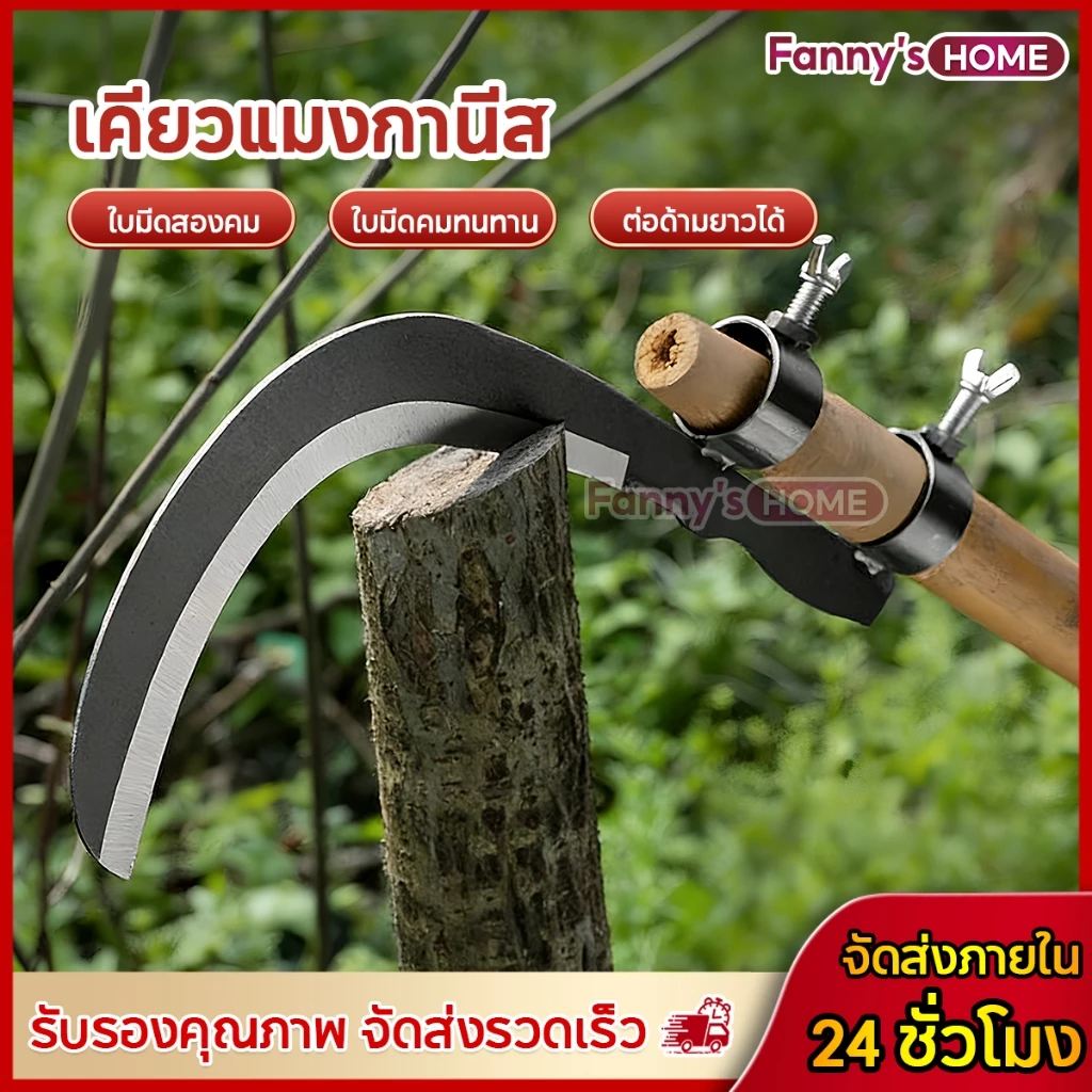 มีดขอ เคียว เกี่ยว เก็บผลไม้ บนที่สูง ไม่ต้องปีนป่าย ให้เสี่ยงอันตราย ใบมีดหนา คม แข็งแรงทนทาน ใช้สะดวก ตัดได้รวดเร็ว