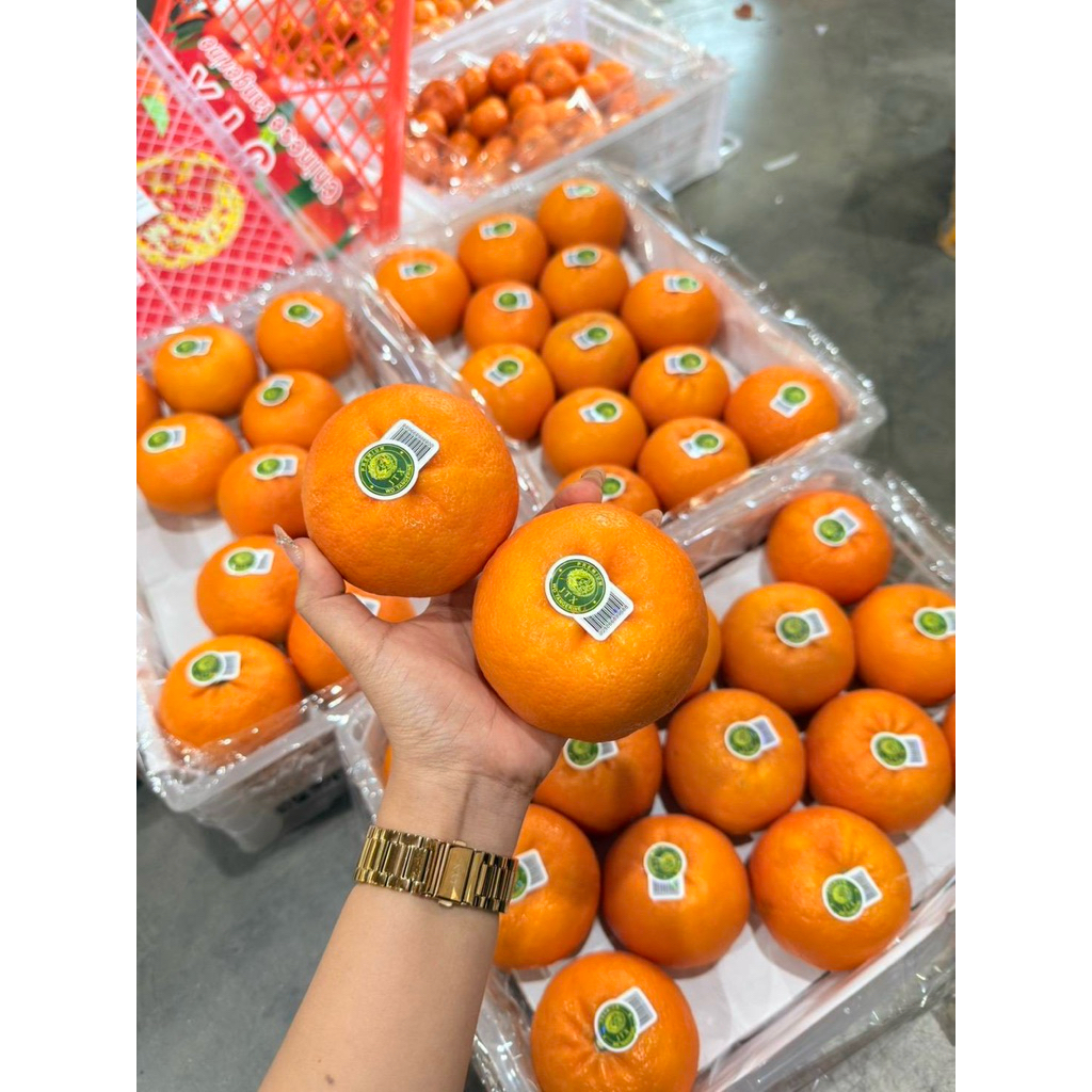 ส่งด่วน 4 ชม. ส้มไต้หวัน ลูกใหญ่ หวานฉ่ำ อร่อย น้ำหนัก 1kg. ส่งคละแบรนด์เข้าใหม่