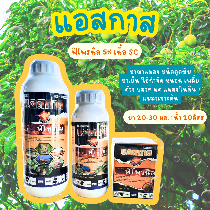 แอสกาส ฟิโพรนิล จิงโจ้ทอง ยาฆ่าแมลง หนอน เพลี้ย ด้วง ปลวด มด แมลงใต้ดิน ยาเย็น ฉีดผ่าดอกได้