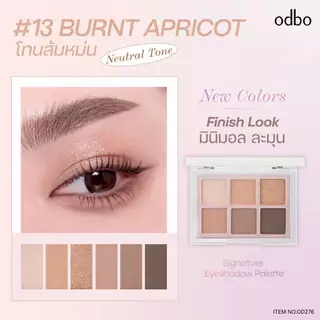 (OD276) มี 14 เบอร์ ODBO SIGNATURE EYESHADOW PALETTE โอดีบีโอ อายแชโดว์ ซิกเนเจอร์ พาเลท 6 สี