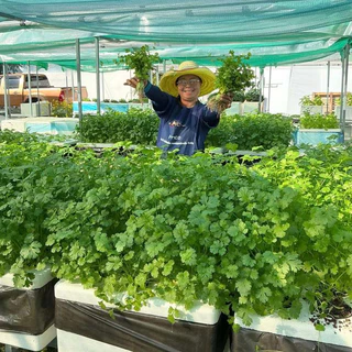 ปุ๋ย AB ชนิดแห้ง 10 ลิตร สูตรเข้มข้น ปลูกได้ 125 กล่อง แถมฟรีถ้วยตวงปุ๋ย+คู่มือ - เกษตรกรรมยั่งยืน