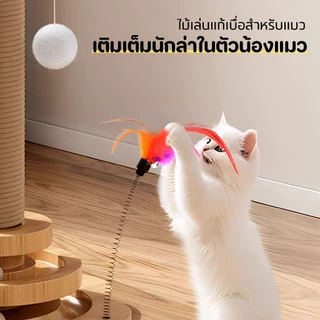 PET-RECORD 2in1 คอนโดแมว เสาฝนเล็บแมว ลับเล็บแมว ที่รับเล็บแมว ทนต่อการสึกหรอ วัสดุไม้เนื้อแข็ง