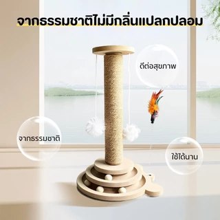 PET-RECORD 2in1 คอนโดแมว เสาฝนเล็บแมว ลับเล็บแมว ที่รับเล็บแมว ทนต่อการสึกหรอ วัสดุไม้เนื้อแข็ง