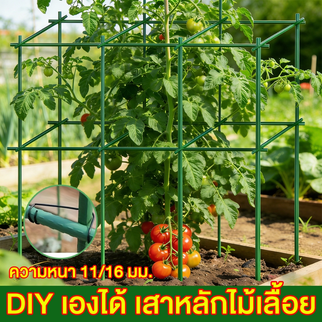 10 ปีก็ไม่พัง ไม้ค้ำต้นไม้ diy ไม้เสาไม้เลื้อย หนา11/16 มม.ยาว120 ซม. พร้อมส่ง