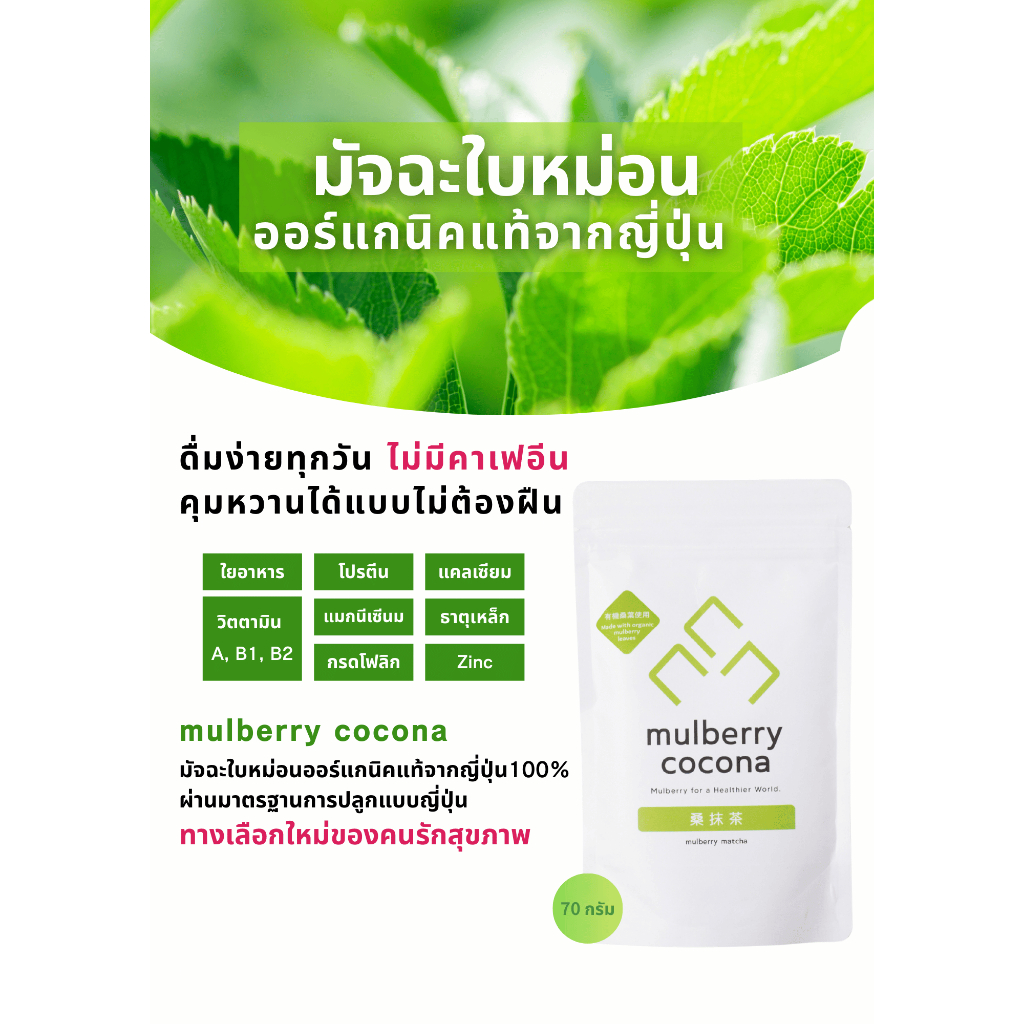 mulberry cocona ใบหม่อนออร์เกนิคแท้ 100% จากญี่ปุ่น | 70g  | DNJ จากธรรมชาติ | ชะลอการดูดซึมน้ำตาล |  ไม่มีคาเฟอีน