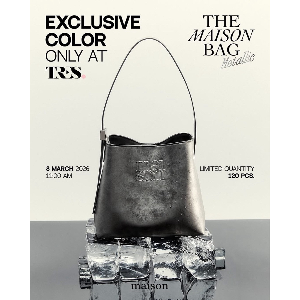 The Maison Bag Metallic 👜🩶