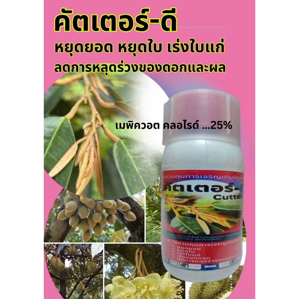 คัตเตอร์-ดี  เมพิควอต คลอไรด์ 25% W/V SL ขนาด 250 cc. สารหยุดยอด หยุดใบ เร่งใบแก่  ลดการหลุดร่วงของดอก และผล