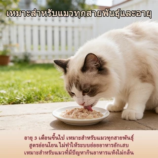 Plendy อาหารเปียกแมว 3 ซอง สุขภาพดี ขนาด 60ก เลือกรสชาติได้ อาหารเปียกแมวแบบซอง