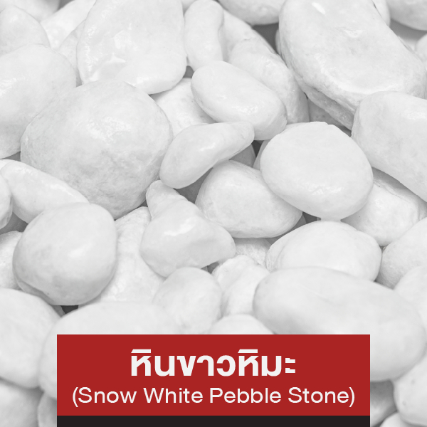 หินขาวหิมะ (Snow White Pebble Stone)