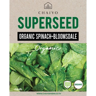 เมล็ด SPINACH-Bloomsdale (Organic) ปวยเล้ง ออร์แกนิค