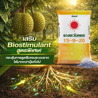 ปุ๋ยคอมปาวด์ 15-9-20 ขนาด 25 กก. ผสม Biostimulant Zn, B จากธรรมชาติ บำรุงผล เร่งขนาดน้ำหนักของผล