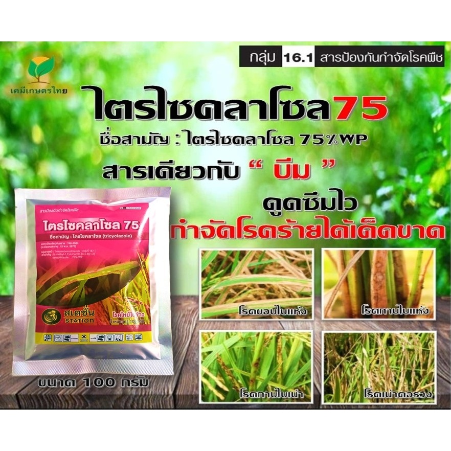 ไตรไซคลาโซล ( 100g ) สารตัวเดียวกับ บีม 75 สารป้องกันกำจัดโรคพืช กำจัดเชื้อรา ใช้ป้องกันกำจัดโรคไหม้ในข้าว คอรวงแห้ง