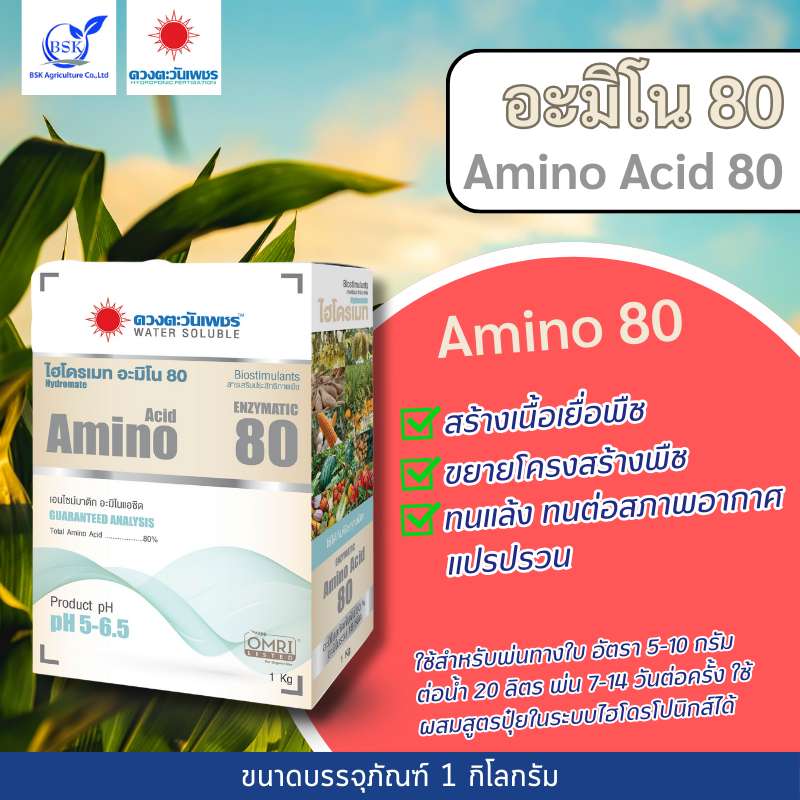 อะมิโน 80 ไฮโดรเมท ขนาด 1 กิโลกรัม (ดวงตะวันเพชร)