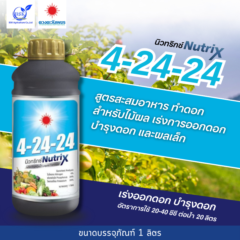 4-24-24 นิวทริกซ์ 1L ( ดวงตะวันเพชร ) #BSK