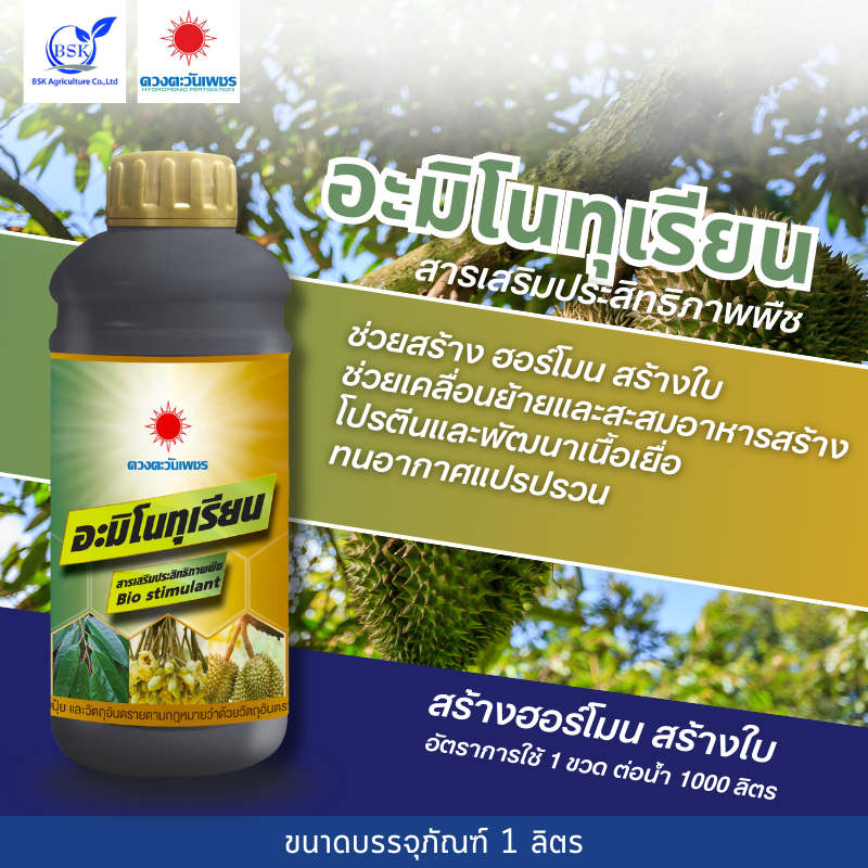 อะมิโนทุเรียน 1 L ( ดวงตะวันเพชร ) #BSK