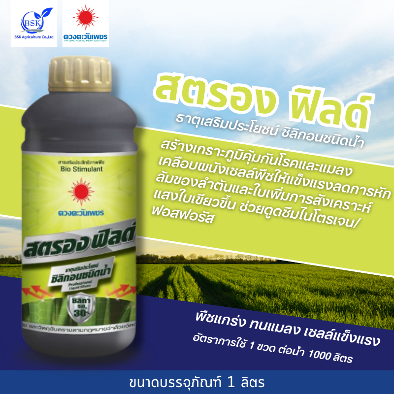 สตรองฟิลด์ ซิลิคอน SiO 30% 1L (ดวงตะวันเพชร)