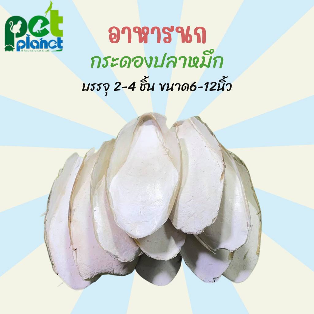 อาหารนก ลิ้นทะเล กระดองปลาหมึก แหล่งแคลเซียมสำหรับนก กระดูกปลาหมึก อาสำหรับนก แคลเซียมนก