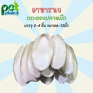 อาหารนก ลิ้นทะเล กระดองปลาหมึก แหล่งแคลเซียมสำหรับนก กระดูกปลาหมึก อาสำหรับนก แคลเซียมนก