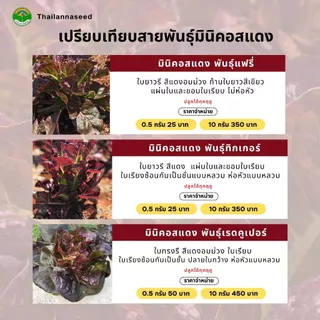 เมล็ดพันธุ์ผักสลัด มินิคอสแดง พันธุ์ทิกเกอร์ ( ขนาด 0.5 กรัม ) ( เมล็ดเคลือบ ) รหัสสินค้า SSC 1024