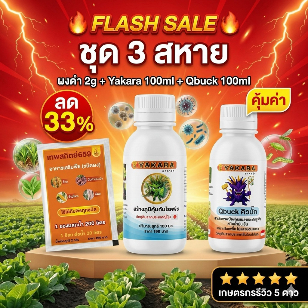 ชุด 3 สหาย เกษตรกร ตะกร้าสินค้าขายดี | ยาคาร่า + คิวบั๊ก + ผงดำเทพสถิตย์ | ป้องกันโรคพืช กำจัดแมลง ใช้ได้กับผักทุกชนิด