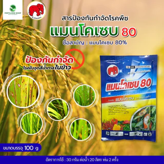 แมนโคเซบ80 ใช้กำจัดโรคพืช (ขนาด 100 กรัม) ไทออน