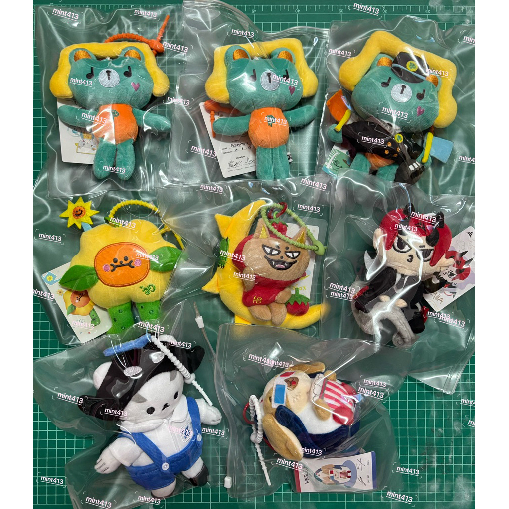 ✅พร้อมส่ง 🚚Wesley Permpoon Domiia Tomafox   polcasan Jaidee