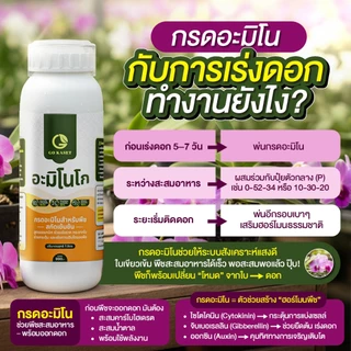 [2ขวด] อะมิโนโก(ขวดใหญ่) 1,000 ML - AMINO GO กรดอะมิโนสำคัญต่อพืช 19 ชนิด ปุ๋ยน้ำ ปุ๋ยกุหลาบ เร่งราก