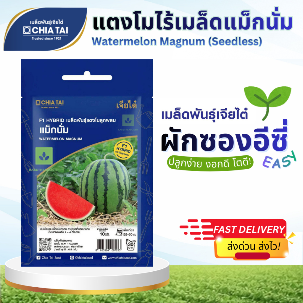 Easy เมล็ดพันธุ์ แตงโมไร้เมล็ด แม็กนั่ม 10เมล็ด Watermelon Magnum (Seedless)