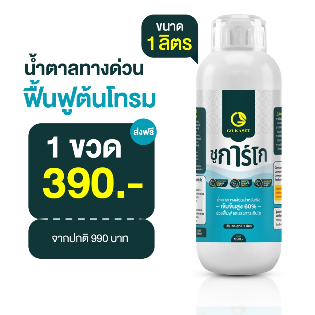 [1ขวด] ชูการ์โก(ขวดใหญ่) 1000 ML - SUGAR GO น้ำตาลทางด่วนสำหรับพืช ปุ๋ยน้ำ ปุ่ญกุหลาบ ช่วยเร่งราก