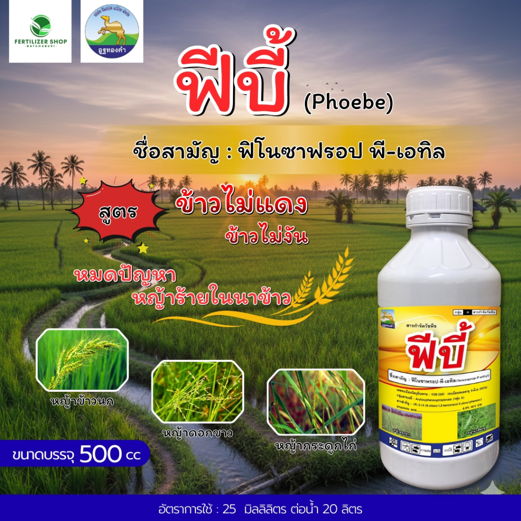 ฟีบี้ ฟีโนซาฟรอป-พี-เอทิล สารกำจัดวัชพืชใบแคบในนาข้าว,หญ้าดอกขาว (ขนาด 500cc) โอเอซิส