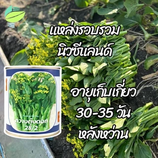 เมล็ดพันธุ์ กวางตุ้งดอก 28/2 ตราลูกโลก ( 400 กรัม )