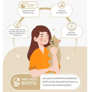 [1.2 โล] Me-O Gold Care อาหารแมวมีโอ meo สูตรใหม่ Urinary Care, Hair & Skin Care