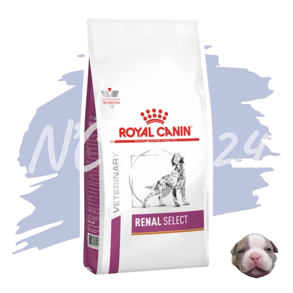 Royal Canin Renal Select Dog 2kg และ 10kg อาหารสุนัขโรคไต ซีเล็คขนาด 2 และ 10 กิโลกรัม