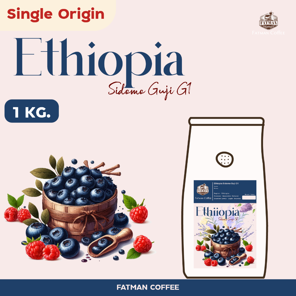 เมล็ดกาแฟคั่วอ่อน ราคาส่ง 1-3 Kg. Ethiopia Sidomo Guji G1 Blueberry (Exotic coffee)