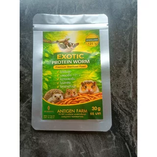 หนอนนก EXOTIC PROTEIN WORM สเตอริไลซ์ ฆ่าเชื้อ แบบต้ม เก็บได้1ปี ไม่ต้องแช่เย็น เหมาะสำหรับ ชูการ์ แม่นแคะ สัตว์ฟันแทะ