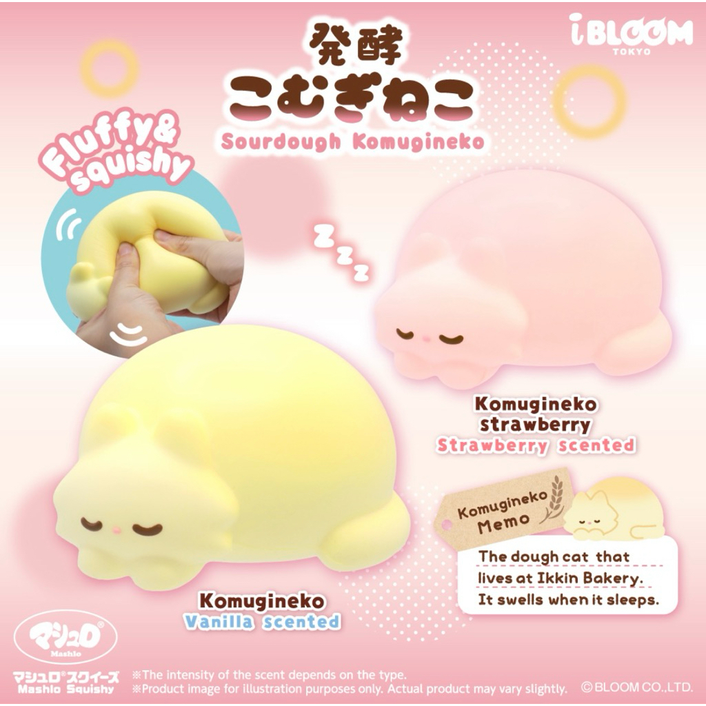 🌟Ibloom Sourdough Komugineko🐱