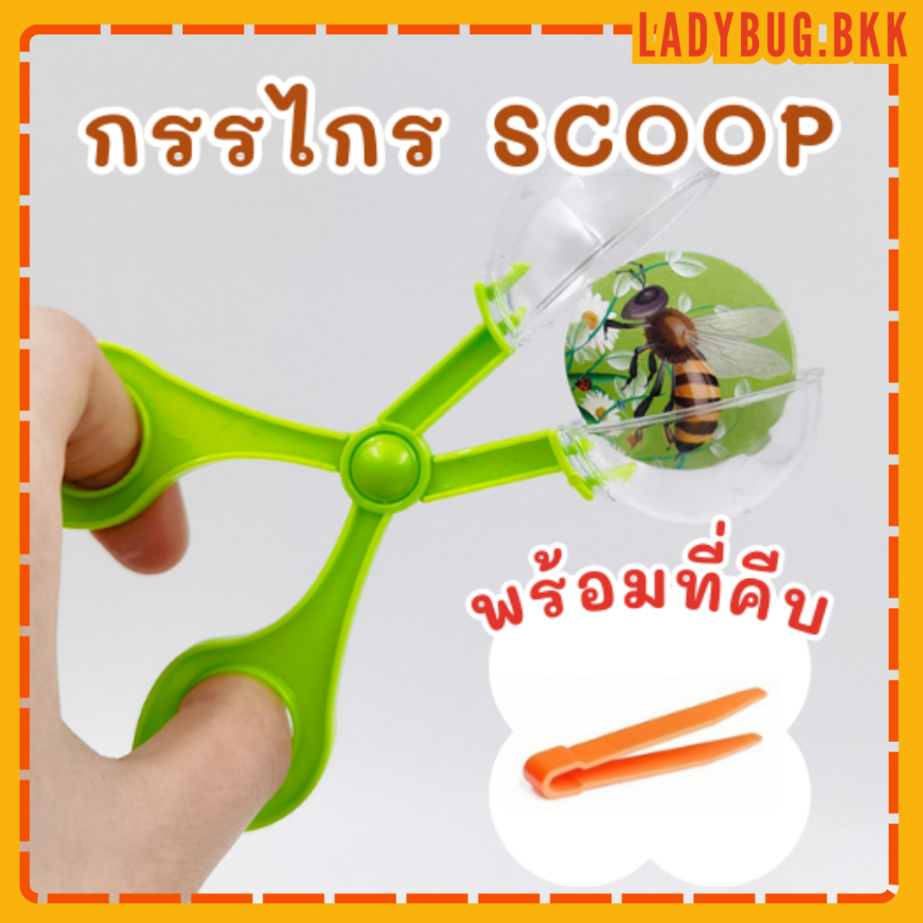 Ladybug ชุดหัดคีบ ที่คีบ กรรไกรScoop Tweezer ที่จับแมลง​ ของเล่นเสริมพัฒนาการ​ sensory play พร้อมส่ง