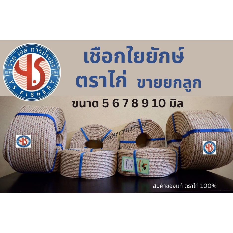 ใยยัก ตราไก่ ขนาด 5 6 7 8 9 10 มิล(ขายยกม้วน) ใยยักษ์เกรดเอ เชือกมัดของอย่างดี เชือกประมง เชือกใยยักษ์ตราไก่ เชือกสีครีม