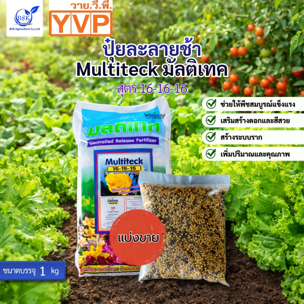 ปุ๋ยละลายช้า 16-16-16 แบ่งขาย  ปุ๋ยใส่ไม้ดอก ปุ๋ยกล้วยไม้ มัลติเฟิส ออสโมโค้ท ปุ๋ยแคคตัสปุ๋ยเหลิอง
