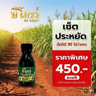 บีโกรว์สูตรเข้มข้น X2 พลังเร่งโต เสริมภูมิคุ้มกันพืช ลดปัญหาโรคและเชื้อราในแปลง 1 ขวด